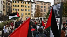 I manifestanti pro Palestina