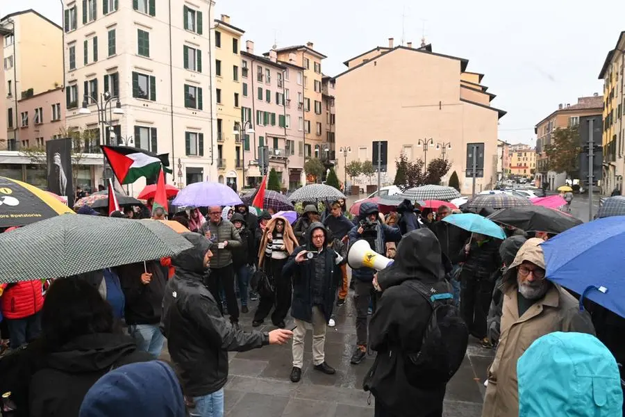 I manifestanti pro Palestina