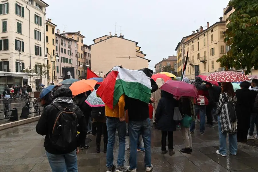 I manifestanti pro Palestina