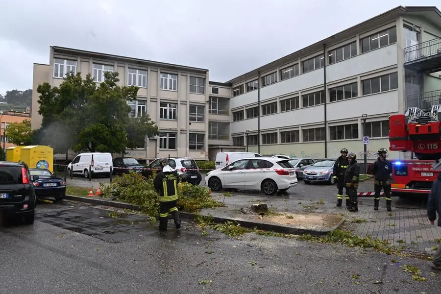 L'intervento dei Vigili del fuoco alla scuola Foscolo