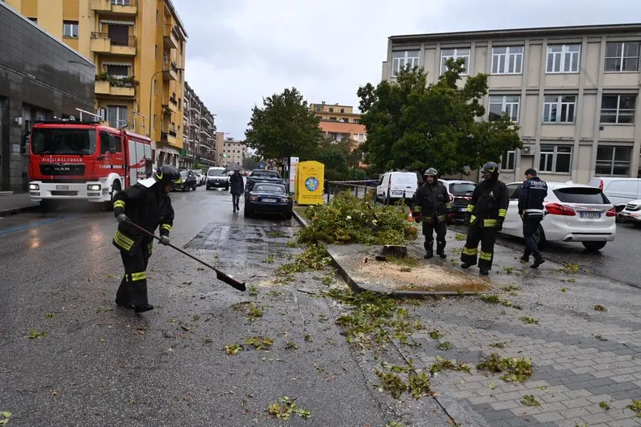 L'intervento dei Vigili del fuoco alla scuola Foscolo