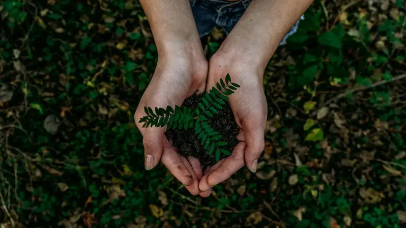 Una Sola Terra torna con la seconda edizione