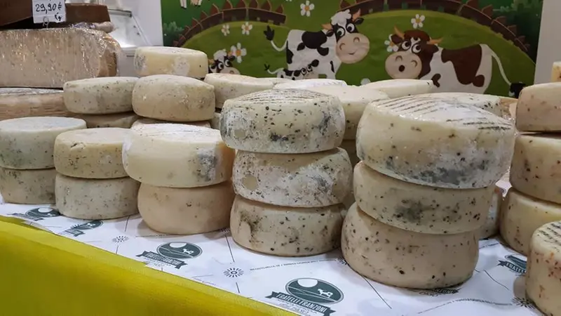 Tante le esposizioni - Foto/Franciacortainbianco