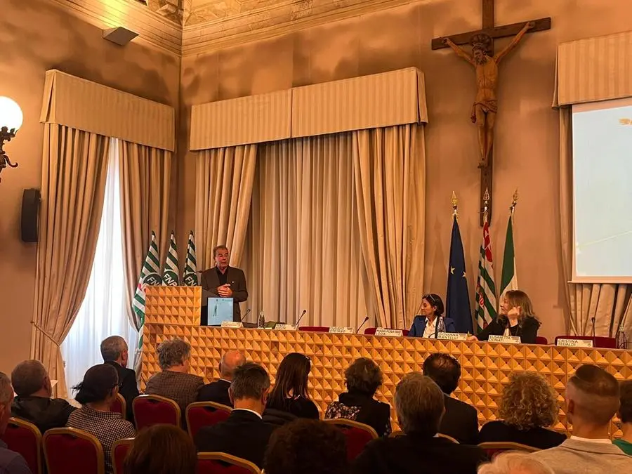 Presentata oggi pomeriggio in un convegno al Centro Paolo VI la ricerca «Senza rete» commissionata a Elio Montanari dai pensionati Cisl e dalla Cisl di Brescia