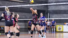 SPORT VOLLEY SERIE B2 FEMMINILE PALAMACLODIUM PROMOBALL SANITARS - CARTIERA DELL'ADDA NELLA FOTO FERRARI 12-10-2024 Comincini@newreporter