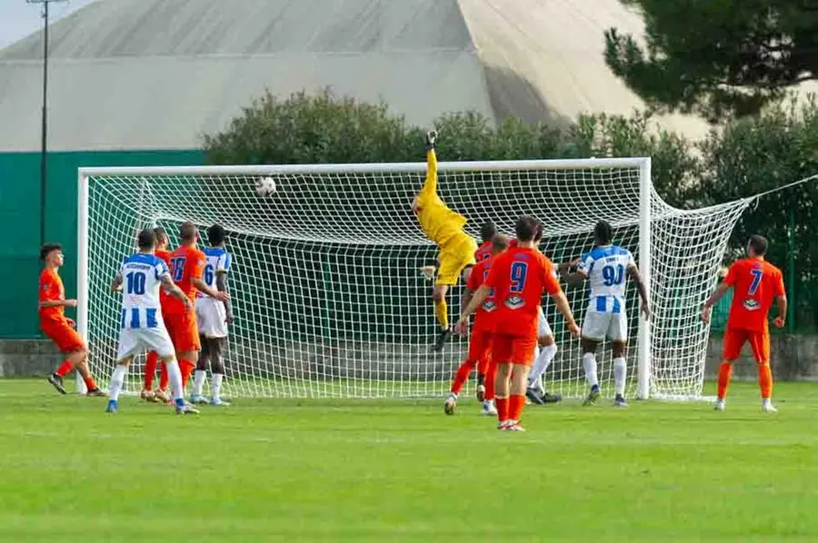 Sport Calcio Palazzolo Serie D Pro Palazzolo - Ospitaletto nella foto gol di pinardi niccolo del palazzolo 13/10/2024 mazzocchi@newreporter