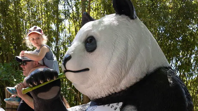 epa11377853 A child is carried past a statue of a panda baring a sign announcing the return of giant pandas at the Smithsonian National Zoological Park in Washington, DC, USA, 29 May 2024. The Smithsonian National Zoological Park will receive two giant pandas, both two-years-old, from China before the end of 2024, the zoo said 29 May. The incoming pandas, Bao Li and Qing Bao, will fill the vacancy left by the departure of three giant pandas at the National Zoo in November 2023. EPA/MICHAEL REYNOLDS