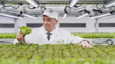 Giuseppe Battagliola nella Vertical Farm Kilometro Verde - © www.giornaledibrescia.it