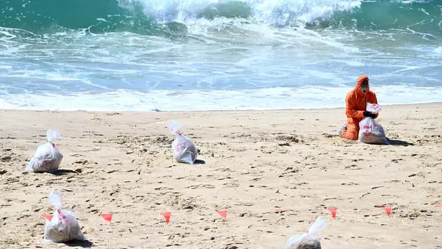 epa11663496 A worker in protective clothing cleans up black tar balls on Coogee Beach in Sydney, Australia, 17 October 2024. Coogee Beach in Sydney's east closed following the discovery of mysterious, black, ball-shaped debris, later identified as tarballs. EPA/DAN HIMBRECHTS NO ARCHIVING AUSTRALIA AND NEW ZEALAND OUT