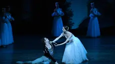 Il Balletto di Tbilisi al Teatro Grande con «Giselle»