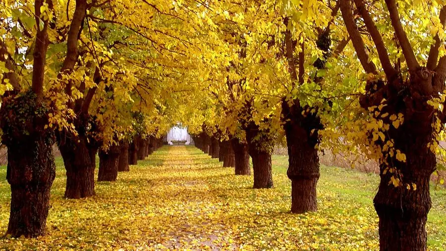 Autunno - © www.giornaledibrescia.it