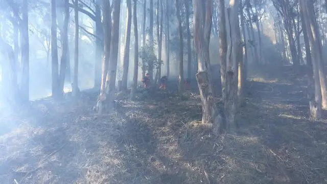 epa06122329 A handout photo made available by the City of Berkeley shows emergency services battling a wildfire in the Berkeley hills, Alameda County, northern California, USA, 02 August 2017. According to officials, a wildfire in the Berkeley-Oakland hills, that triggered voluntary evacuations for some campus buildings at the University of California and some road closures, burned ten acres on 02 August afternoon. Between 150 to 200 firefighters were said to be fighting the fire, media reported. The cause of the fire is under investigation. EPA/CITY OF BERKELEY HANDOUT -- BEST QUALITY AVAILABLE -- HANDOUT EDITORIAL USE ONLY/NO SALES