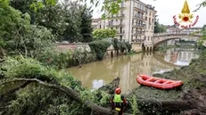 VICENZA, VIGILI DEL FUOCO AL LAVORO PER RIMOZIONE DI TRE ALBERI DI TRAVERSO LUNGO IL RETRONE