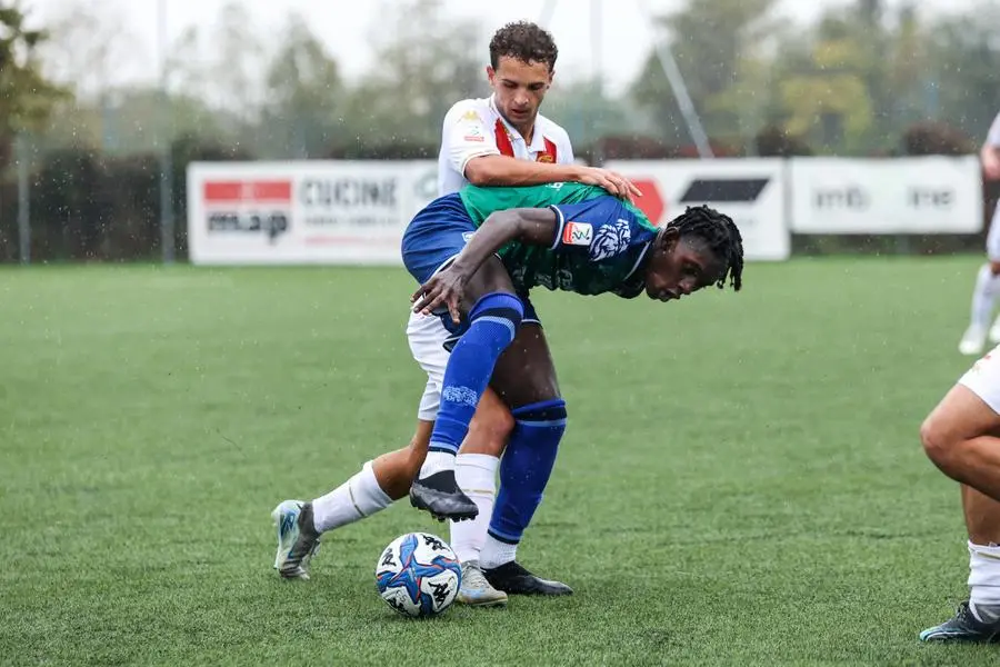 Primavera, FeralpiSalò-Brescia Calcio