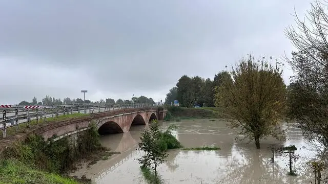 Garage e locali interrati allagati in alcune zone di Modena, dove nel corso della notte si sono registrate esondazioni di fossi e torrenti, 20 ottobre 2024. In particolare, i problemi maggiori sono sono registrati nella zona di Modena Est, nel quartiere Musicisti. In provincia di Modena i principali punti critici sono a Savignano, per l'esondazione del rio Merdone in località Garofano. Difficoltà si registrano anche nella zona di Castelfranco Emilia, nelle frazioni di Manzolino, Gaggio e Piumazzo. Esondato un torrente anche a Montale Rangone. ANSA/UFFICIO STAMPA +++ ANSA PROVIDES ACCESS TO THIS HANDOUT PHOTO TO BE USED SOLELY TO ILLUSTRATE NEWS REPORTING OR COMMENTARY ON THE FACTS OR EVENTS DEPICTED IN THIS IMAGE; NO ARCHIVING; NO LICENSING +++ NPK +++