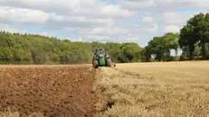 La misura è concepita per valorizzare le imprese agricole operanti in contesti montani - Foto Unsplash © www.giornaledibrescia.it