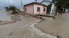 Inondazioni in Emilia-Romagna. Nella notte il fiume Lamone ha tracimato dal cantiere di ricostruzione dell' argine allagando la zona rossa di Traversara. Foto Fabrizio Zani / Pasquale Bove