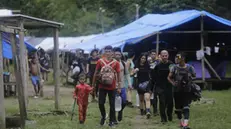 epaselect epa11576692 Migrants of different nationalities cross a camp in the middle of an operation in the middle of the Darien jungle, the natural border between Colombia and Panama, 31 August 2024. Units of the Panamanian National Border Service found a camp in the middle of the Darien jungle, the natural border between Colombia and Panama, where food and services were 'illegally' sold to migrants who cross that dangerous jungle on their journey to North America. EPA/Carlos Lemos