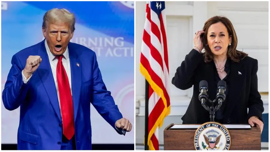 Donald Trump e Kamala Harris si contendono la presidenza della Casa bianca - © www.giornaledibrescia.it