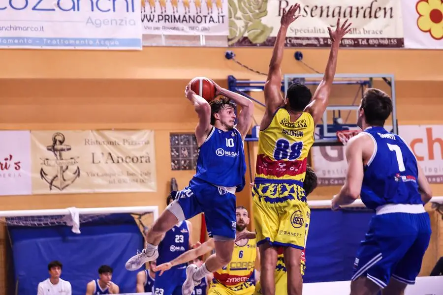 SPORT BASKET CAMPIONATO SERIE B ISEO BASKET - GARDONESE NELLA FOTO TONUT 24-10-2024 Comincini@newreporter