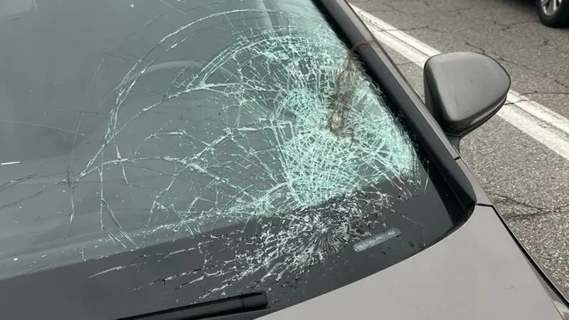 Orzinuovi, studentessa investita fuori da scuola