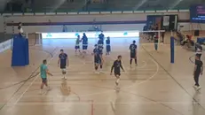 Una fase del match che ha visto Montichiari sfidare Bologna