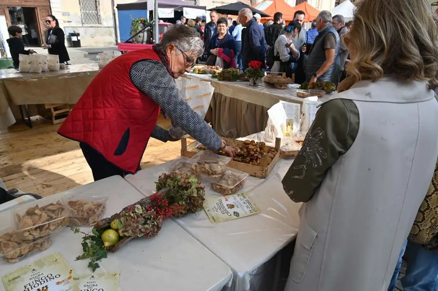 In Piazza con Noi a Dello: la sagra del chiodino