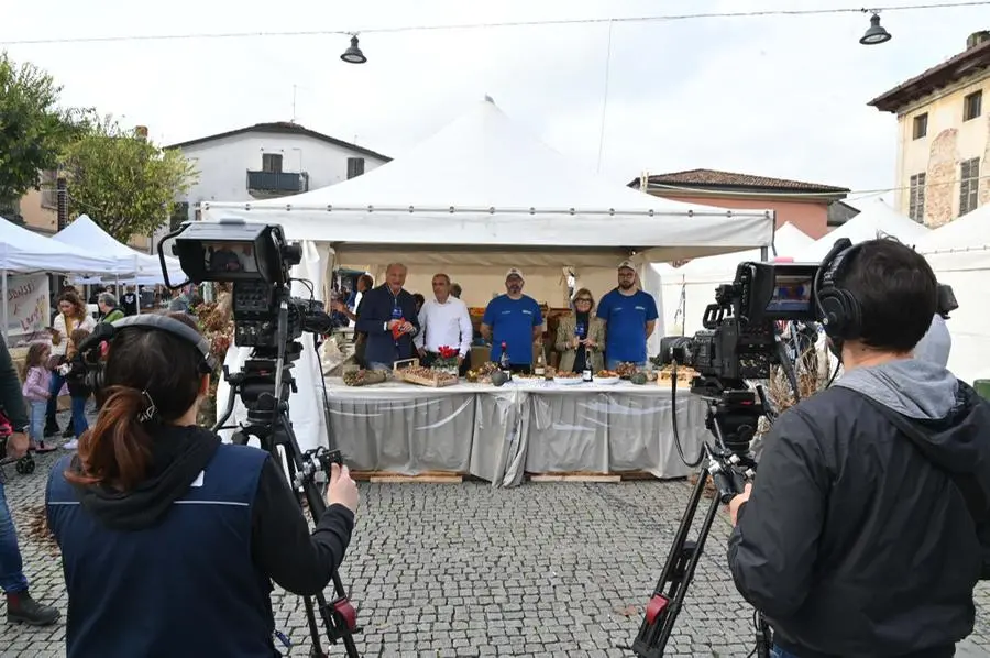 In Piazza con Noi a Dello: la sagra del chiodino