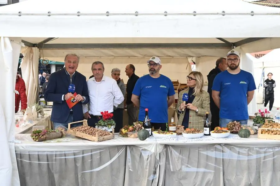 In Piazza con Noi a Dello: la sagra del chiodino