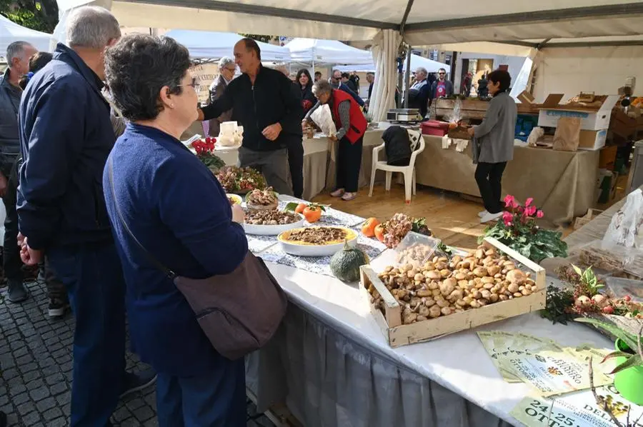 In Piazza con Noi a Dello: la sagra del chiodino