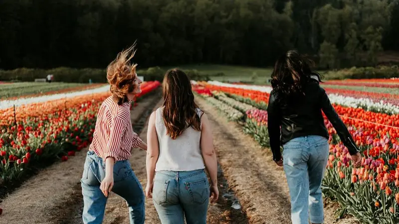 Fiori_colore.jpg