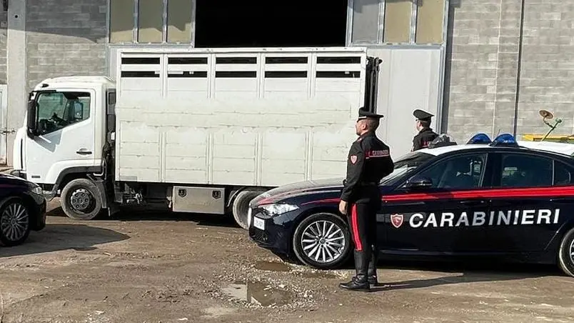 I carabinieri con il camion rubato