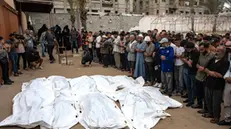 epaselect epa11659970 Palestinians, including victims' relatives, pray next to the bodies of members of the Abu Taima family, killed in an Israeli air strike, at the Khan Younis refugee camp, southern Gaza Strip, 15 October 2024. According to Nasser Hospital, at least 10 members of an extended family were killed in an Israeli airstrike on their home in Bani Suhaila, east of Khan Younis early on 15 October. More than 42,200 Palestinians and over 1,400 Israelis have been killed, according to the Palestinian Health Ministry and the Israeli Army, Tsahal, since Hamas militants launched an attack against Israel from the Gaza Strip on 07 October 2023, and the Israeli operations in Gaza and the West Bank which followed it. EPA/HAITHAM IMAD