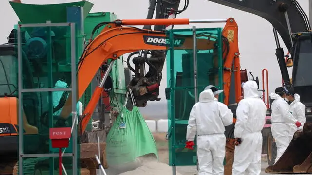 epa11012980 Quarantine officials prepare to cull ducks at a farm in Muan, South Jeolla Province, South Korea, 06 December 2023, following the detection of a highly pathogenic strain of the H5N1 avian influenza in the area. EPA/YONHAP SOUTH KOREA OUT