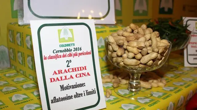 Dalle nocciole turche alle arachidi dalla Cina inquinate da aflatossine cancerogene fino alle spezie dall'India, come il peperoncino contaminato da pesticidi oltre i limiti o con problemi da infezioni microbiologiche: questi i cibi sul podio dei prodotti alimentari più a rischio per la salute. E' quanto emerge dal dossier Coldiretti su "La classifica dei cibi più pericolosi" presentato al Forum Internazionale dell'Agricoltura e dell'Alimentazione di Cernobbio ed elaborato sulla base del Rapporto del Ministero della Salute sul sistema di allerta europeo per rischi alimentari. Il 15 ottobre 2016. ANSA/ COLDIRETTI +++ ANSA PROVIDES ACCESS TO THIS HANDOUT PHOTO TO BE USED SOLELY TO ILLUSTRATE NEWS REPORTING OR COMMENTARY ON THE FACTS OR EVENTS DEPICTED IN THIS IMAGE; NO ARCHIVING; NO LICENSING +++