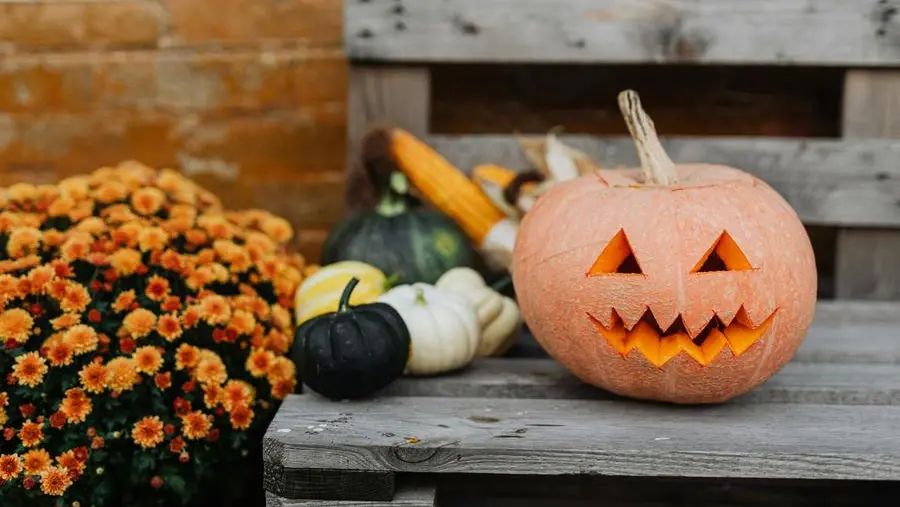 Tantissimi gli eventi per Halloween: dalle Escape Room alle visite in miniera - © www.giornaledibrescia.it