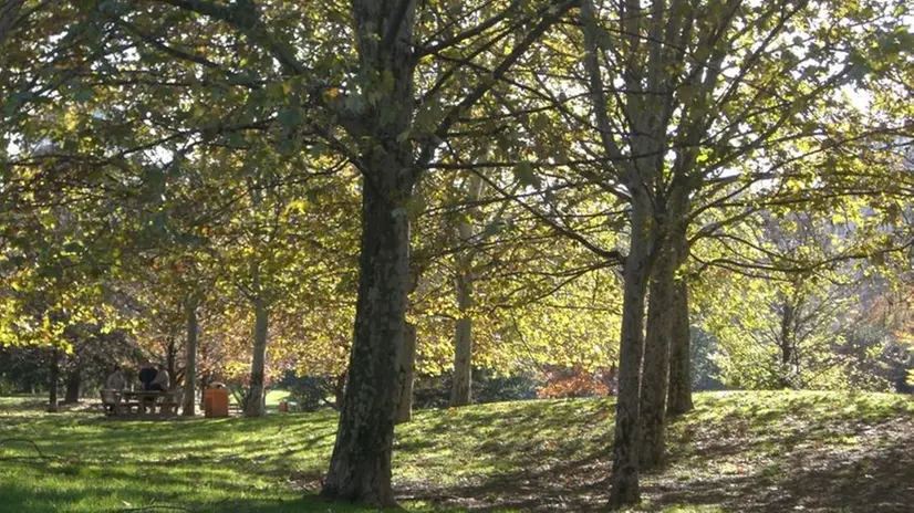 Uno scorcio del Parco Gallo