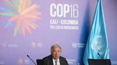 epa11692815 UN Secretary-General Antonio Guterres speaks during a press conference in Cali, Colombia, 30 October 2024, during the United Nations Conference on Biodiversity (COP16). The 16th meeting of the Conference of the Parties to the Convention on Biological Diversity (COP 16) takes place in Cali, Colombia, from 21 October to 01 November 2024. EPA/ERNESTO GUZMAN JR