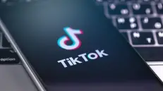 L'uomo ha pubblicato su Tik Tok un video oltraggioso nei confronti degli agenti della Locale che poi lo hanno denunciato - © www.giornaledibrescia.it