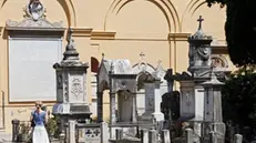 20090615 - ROMA - CIMITERO MONUMENTALE DEL VERANO. ALESSANDRO DI MEO