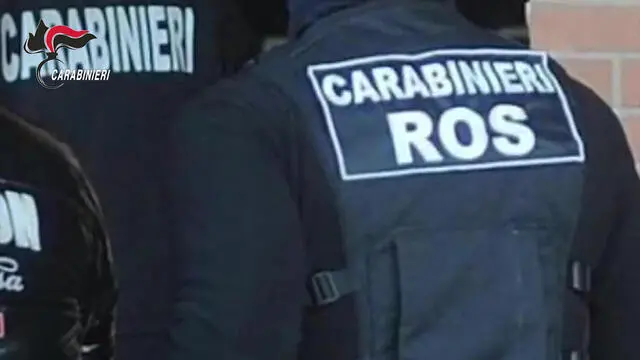 CARABINIERI: ESECUZIONE 14 ARRESTI ASSOCIAZIONE DI TIPO MAFIOSO ARMATA, OMICIDIO PLURIMO, CONCORSO ESTERNO IN ASSOCIAZIONE MAFIOSA, E ALTRI GRAVI REATI, AGGRAVATI