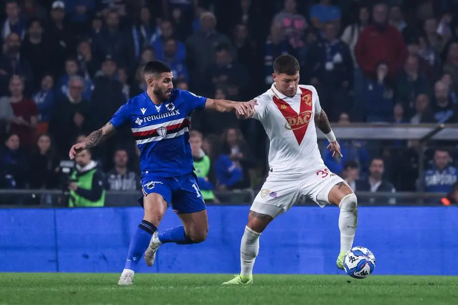 Serie B, gli scatti di Sampdoria-Brescia