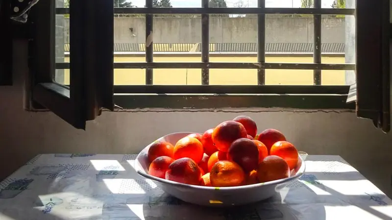 Un'immagine dal carcere di Bollate realizzata da un detenuto tramite l'Associazione Ri-Scatti