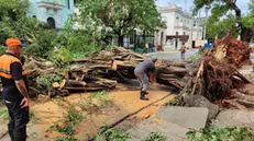 epa11708995 A man cuts a fallen tree in a street following the passage of Hurricane Rafael in Havana, Cuba, 07 November 2024. The Cuban government has already indicated, shortly after Rafael passed, that the impacts concentrated in the western regions of Havana, Artemisa, and Mayabeque are 'powerful.' So far, no fatalities have been reported, as emphasized on social media by the Cuban Foreign Minister, Bruno Rodriguez. EPA/Juan Palop