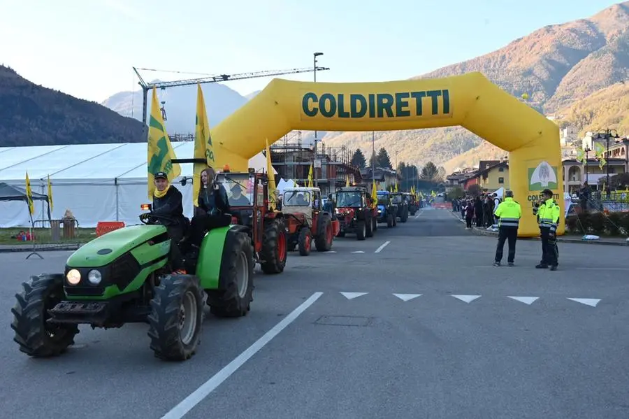 La Giornata del ringraziamento in diretta con In piazza con noi