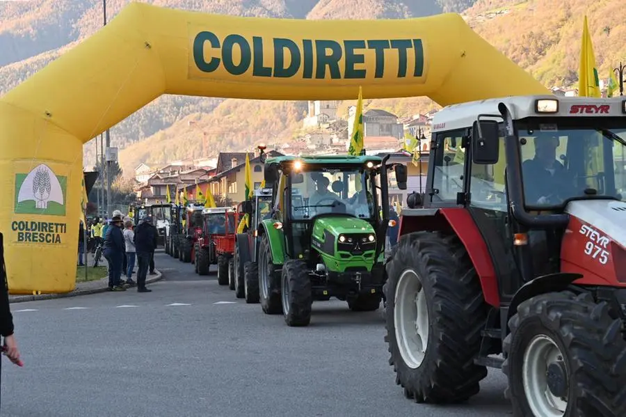 La Giornata del ringraziamento in diretta con In piazza con noi