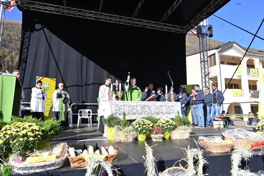 La Giornata del ringraziamento in diretta con In piazza con noi