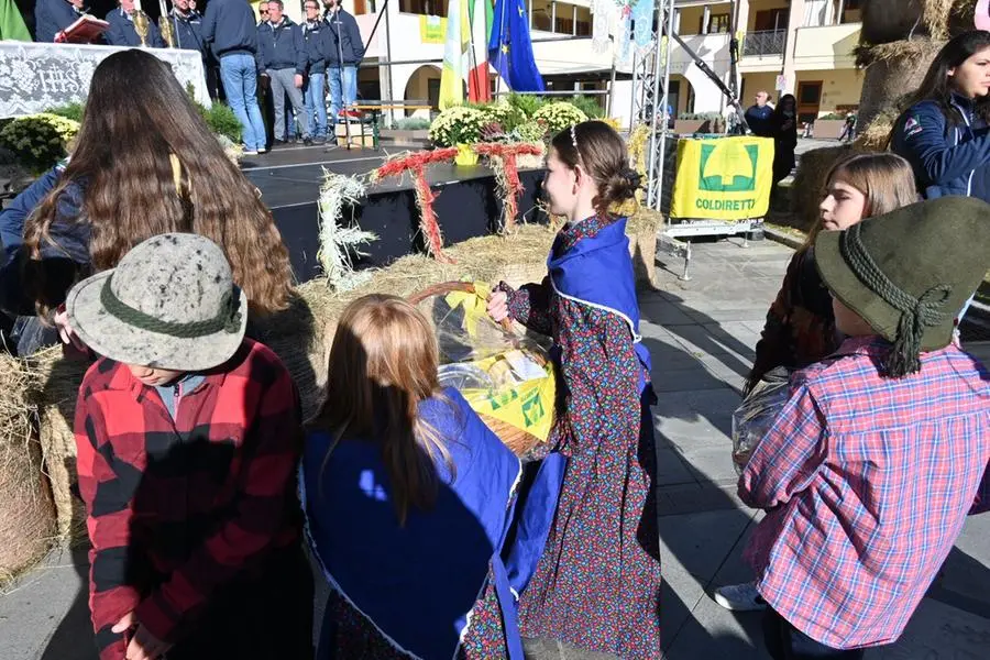 La Giornata del ringraziamento in diretta con In piazza con noi