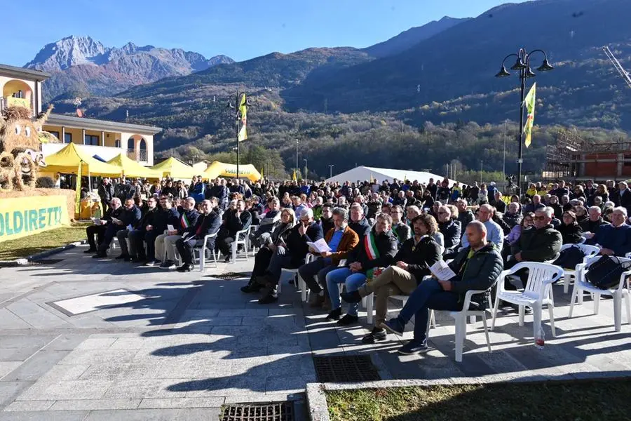 La Giornata del ringraziamento in diretta con In piazza con noi