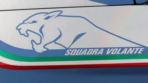 Squadra volante